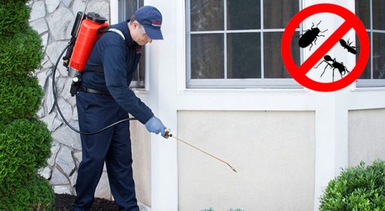 Ulus Hamam Böceği İlaçlama böcek ilaçlama ve haşere kontrolü — ilaclama-tr.com